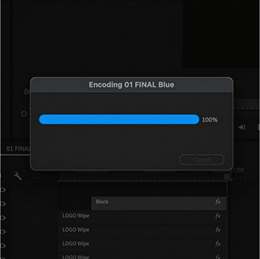 Adobe Premiere Pro export progress bar showing completion at 100%